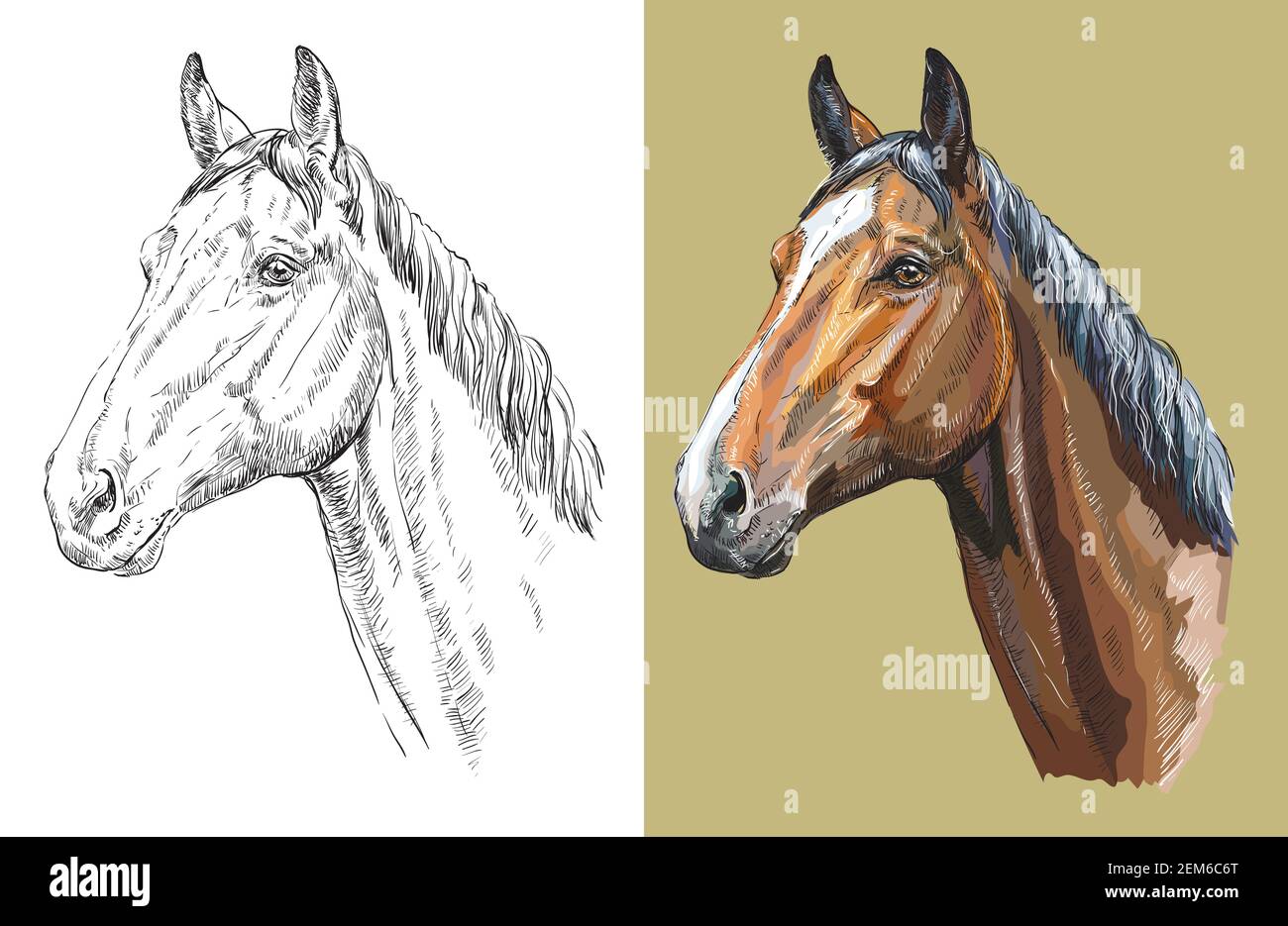 Realistic Horse Head Coloring Pages