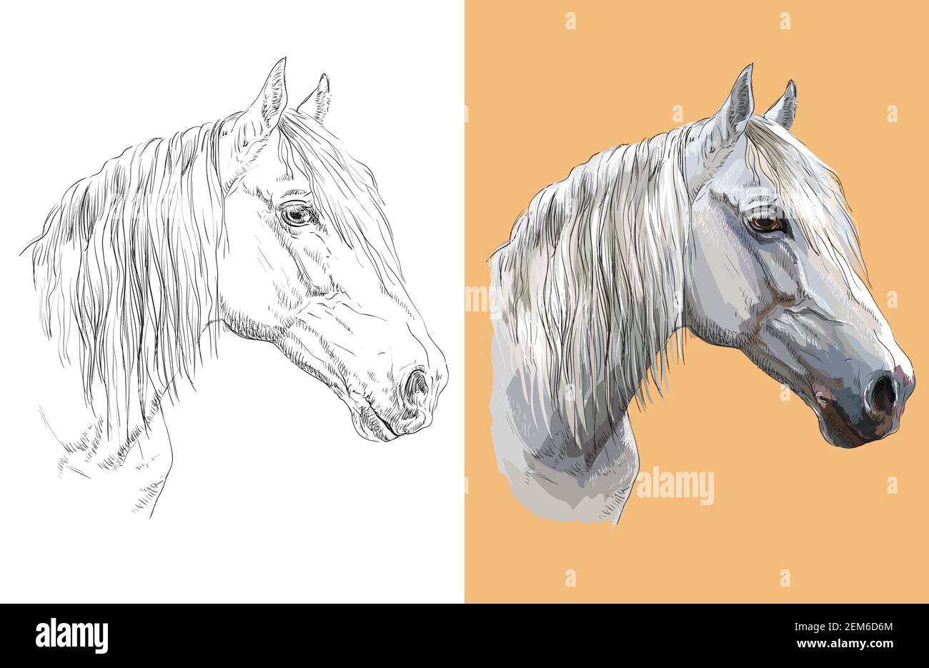 Realistic Horse Head Coloring Pages