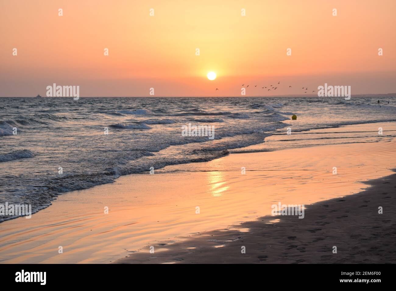 Sunset on the beach Stock Photo - Alamy
