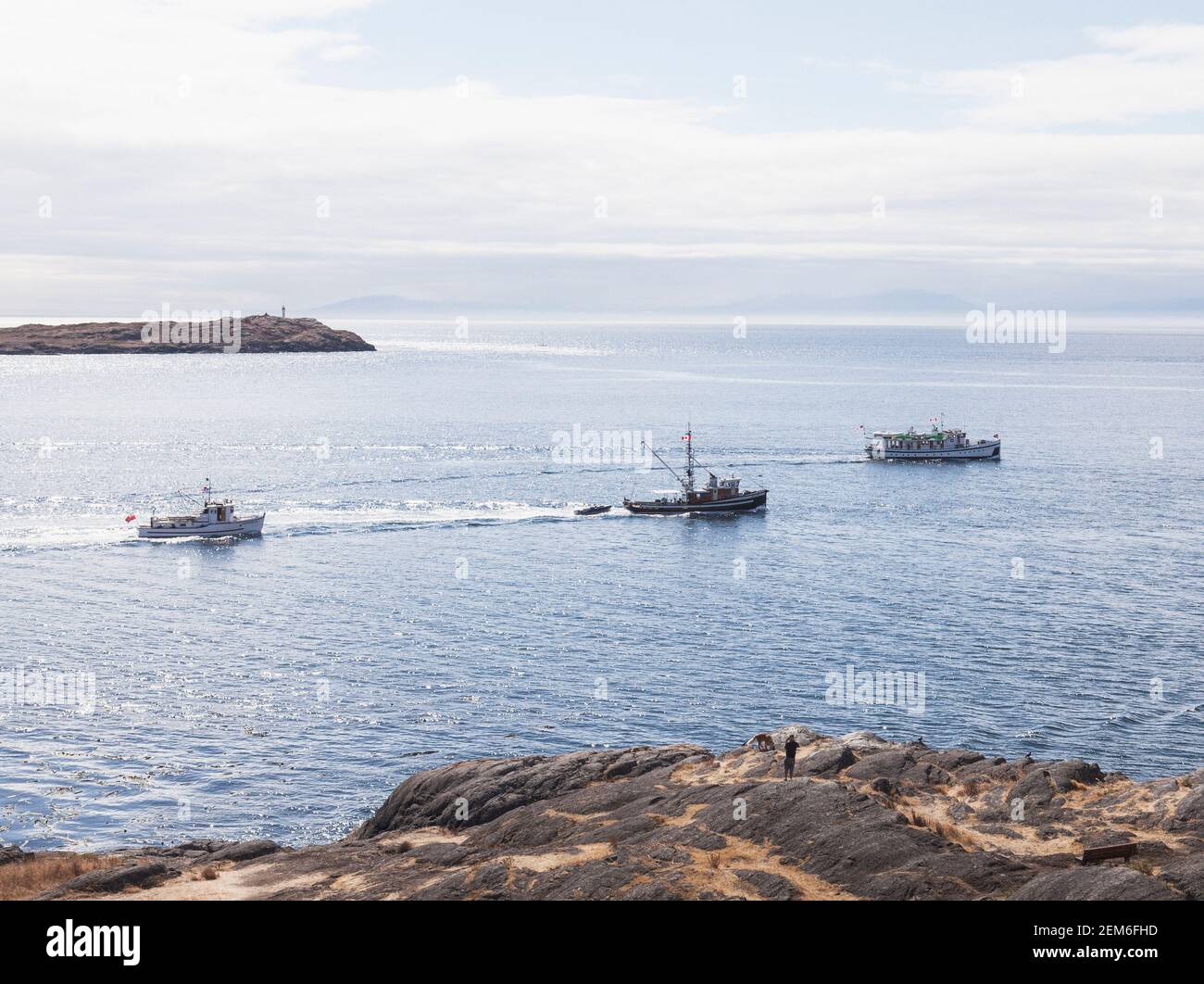Boats on Salish Sea, Victoria BC Canada Stock Photo