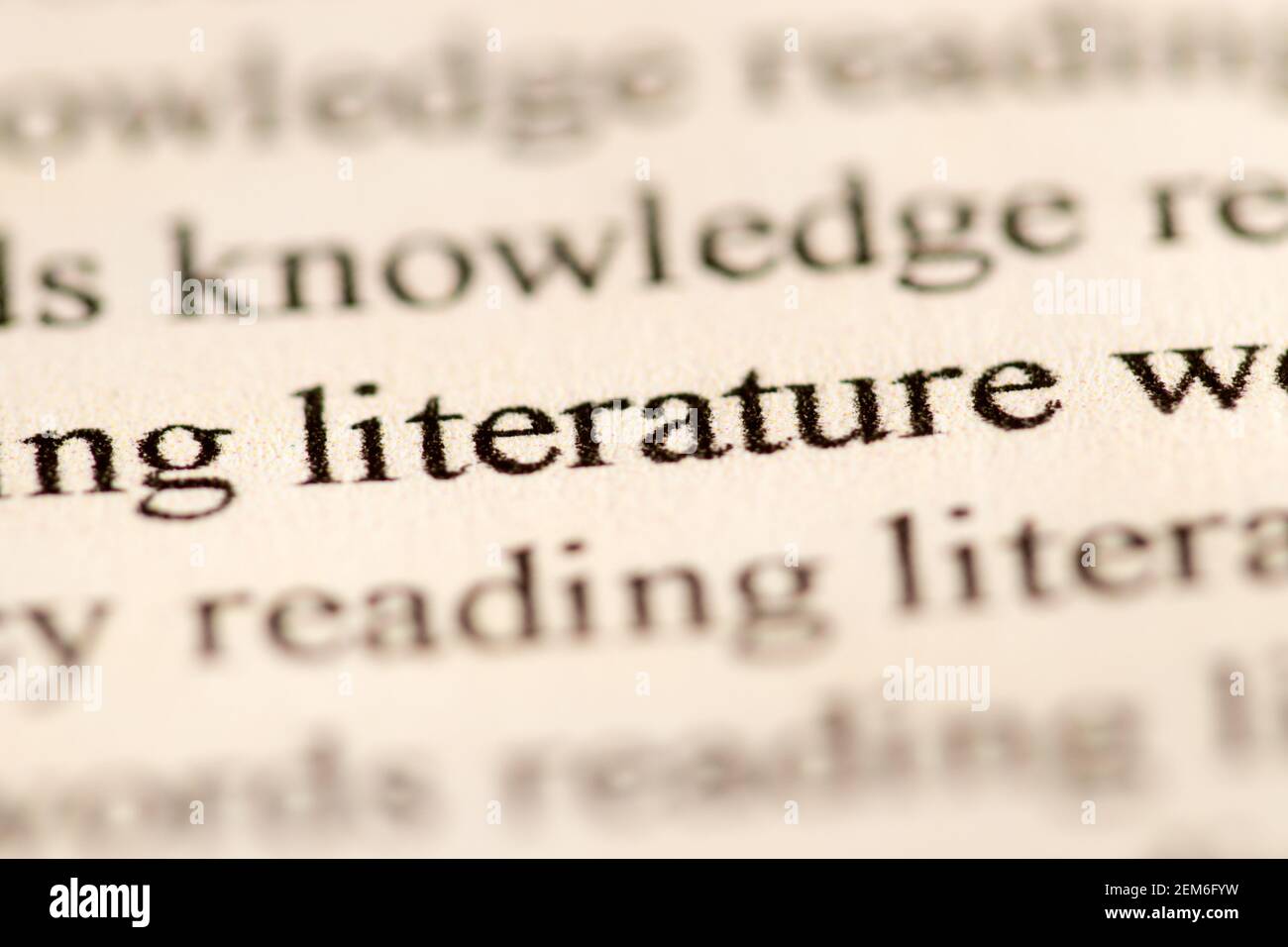 Close up of the word literacy typed in traditional font and printed in
