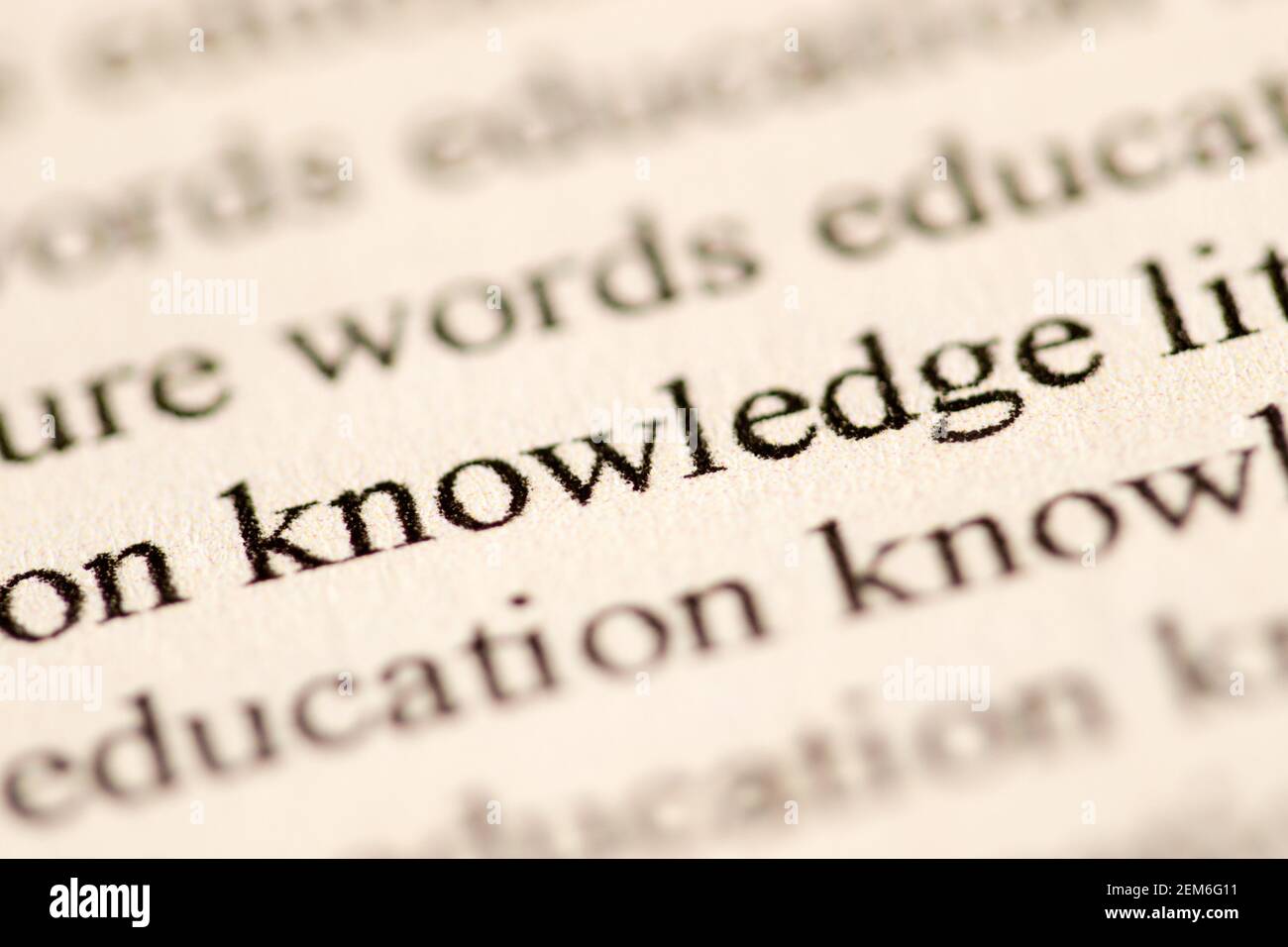 Close up of the word literacy typed in traditional font and printed in