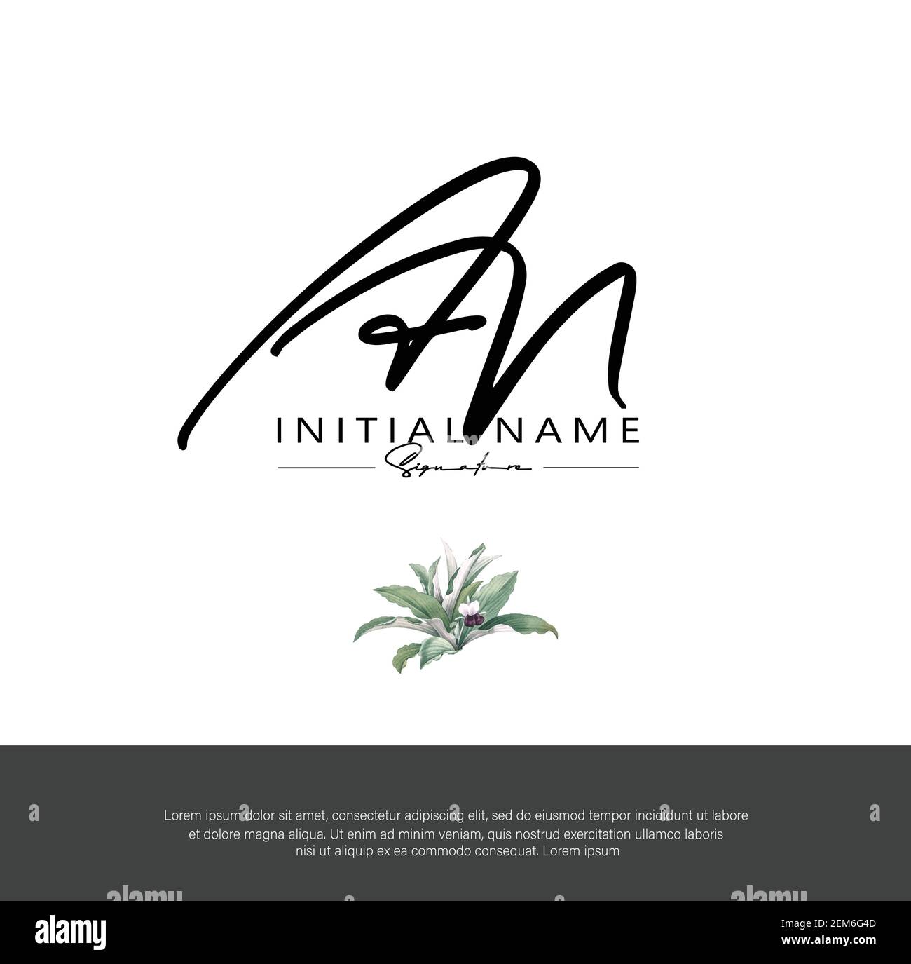 A N AN  Initial letter handwriting and signature logo. Beauty vector initial logo .Fashion, boutique, floral and botanical Stock Vector