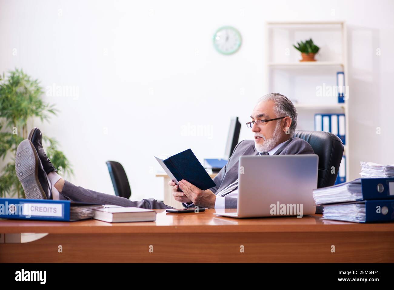 Senior male businessman employee reading guidelines in the office stock