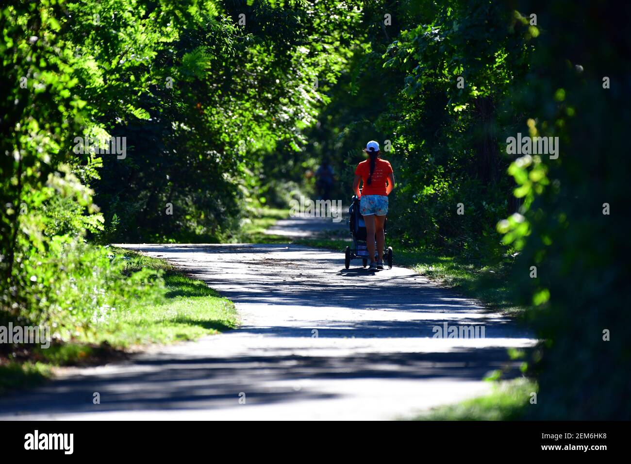 A woman with a stroller walks down a paved path through the woods. Stock Photo