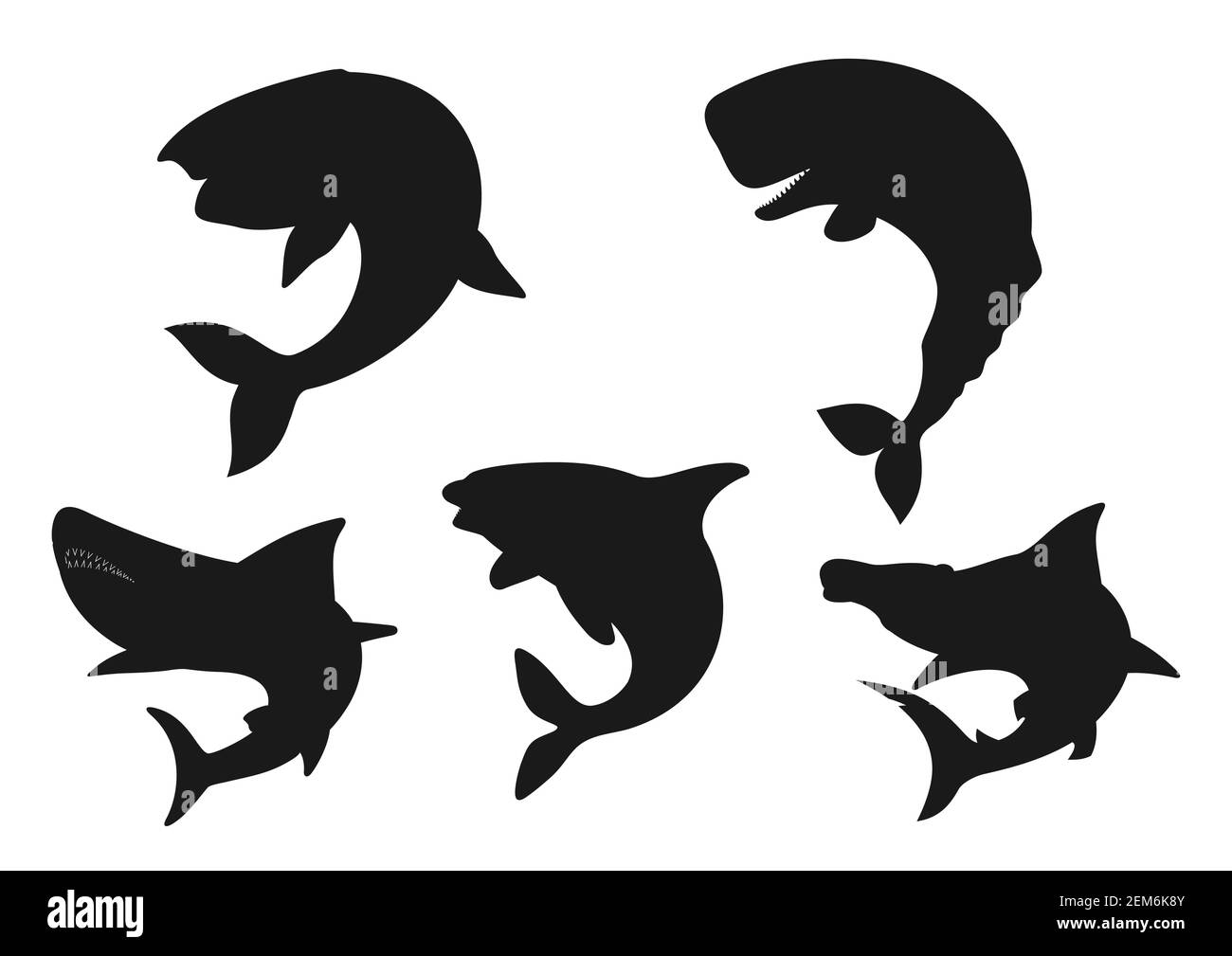 Whale, shark and orca black silhouettes of sea animals. Vector blue, killer and sperm whales, hammerhead shark and cachalot, marine mammal predators o Stock Vector