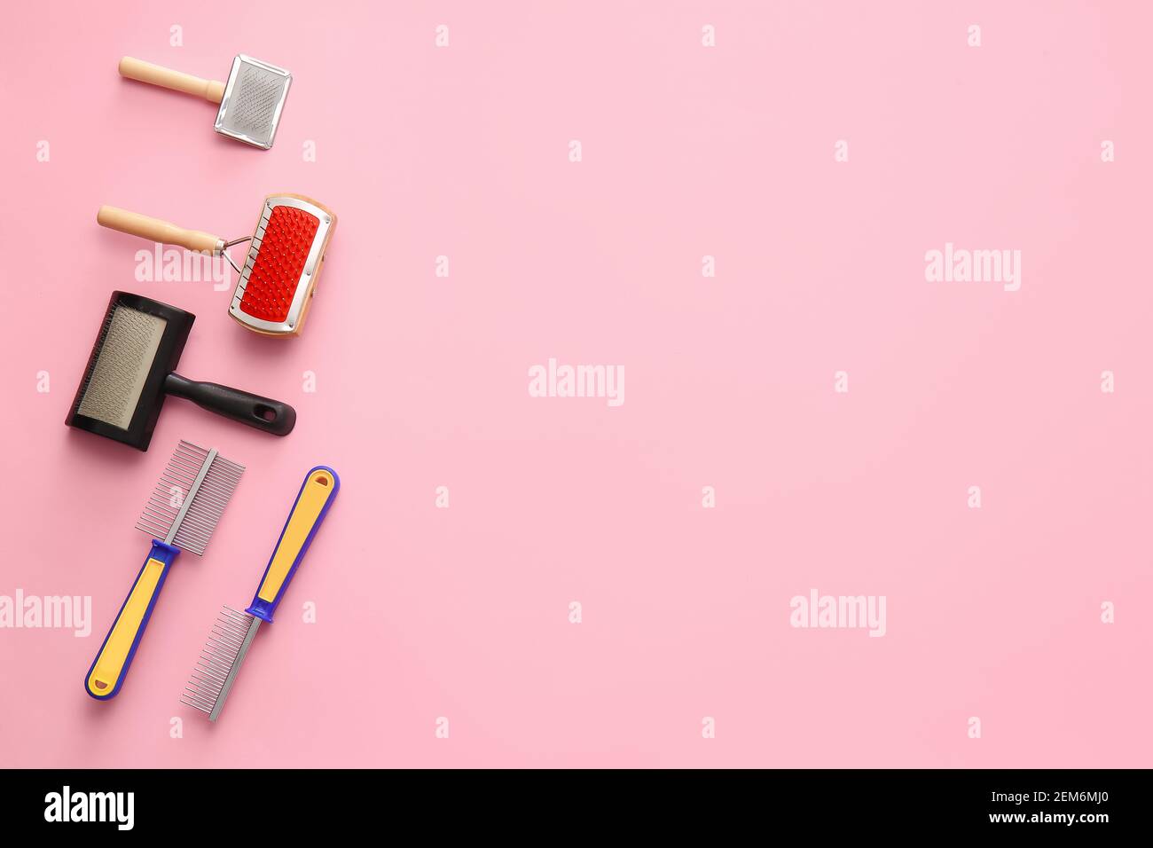 pet brushes and combs