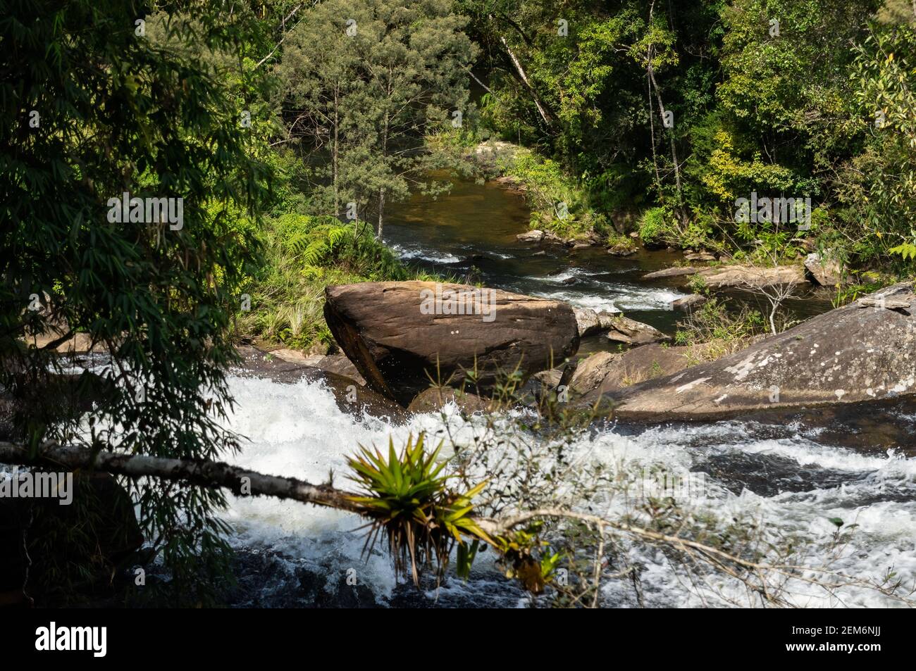 The strong water current of crystal clear water from Paraibuna river flowing down over rock formations inside Serra do Mar (Sea Ridge) dense forest. Stock Photo