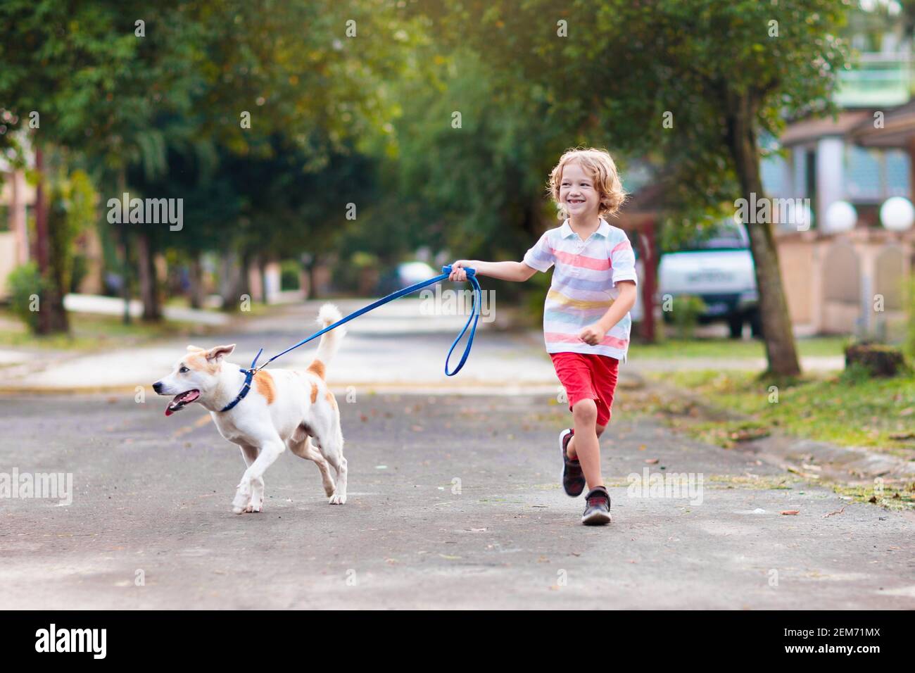 Child walking dog. Kid playing with cute puppy. Little boy running with