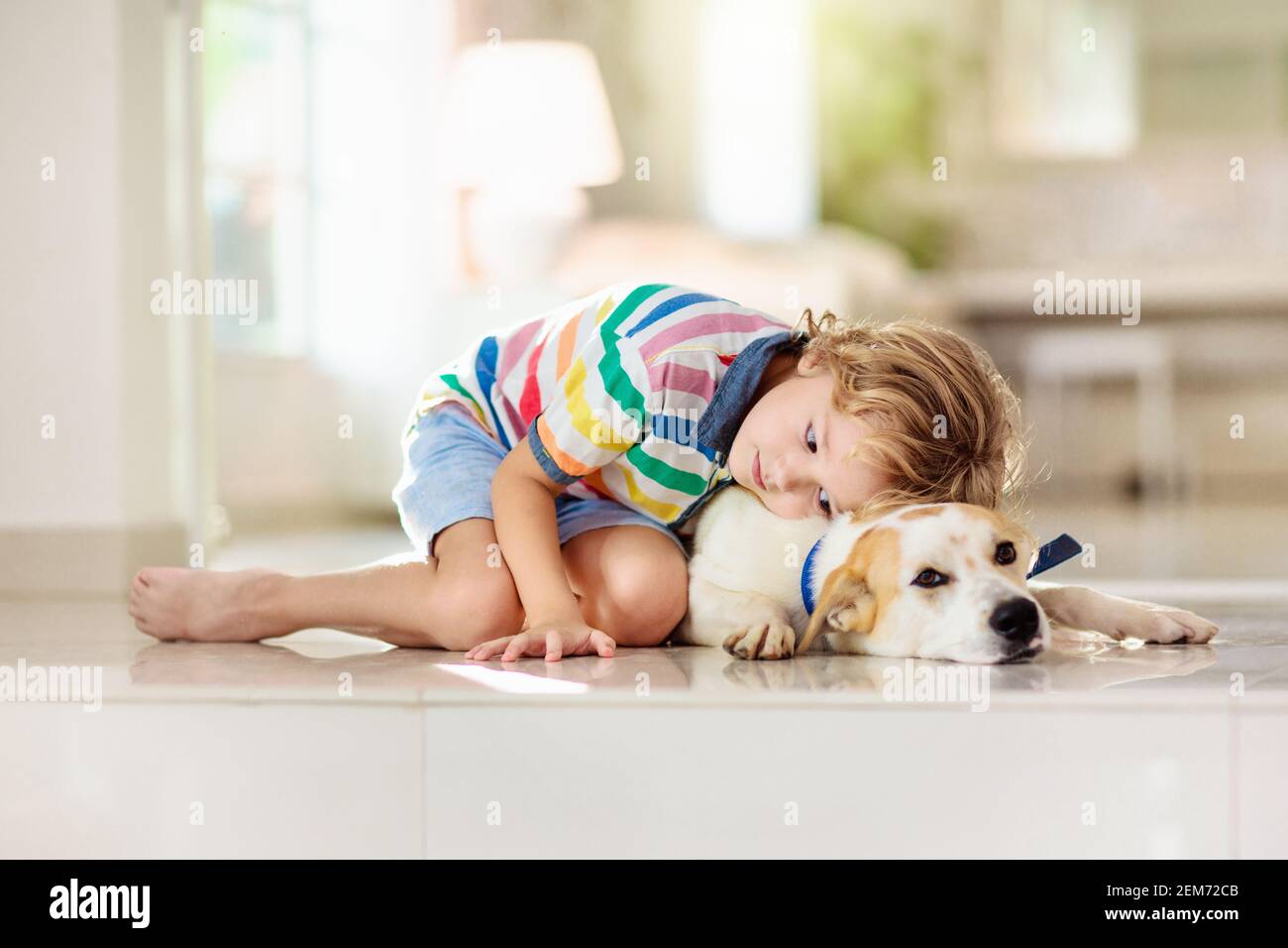 Child playing with baby dog. Kids play with puppy. Little boy and large