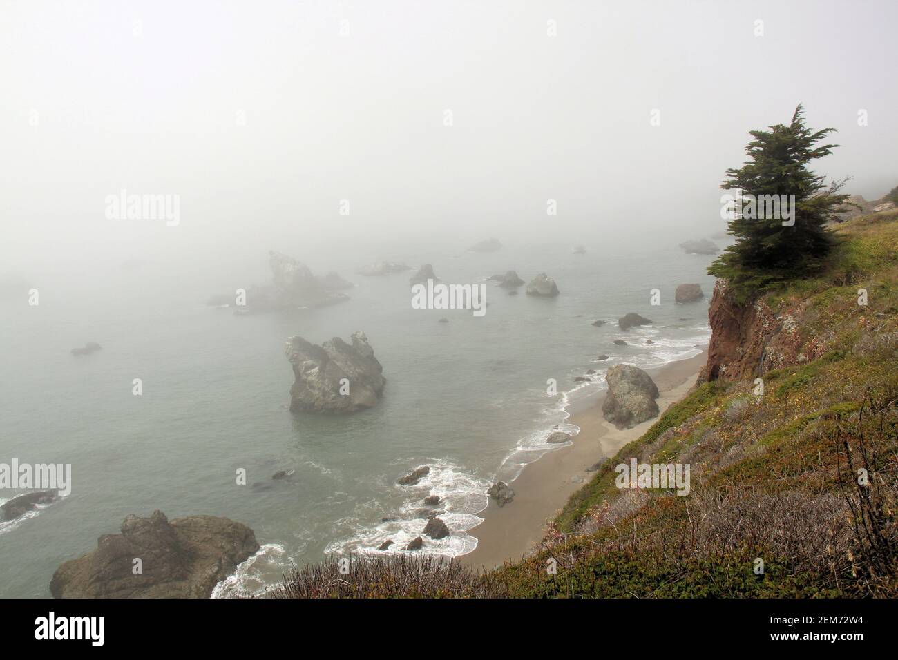 A foggy day along the Northern Coast of California, U.S.A.. Stock Photo
