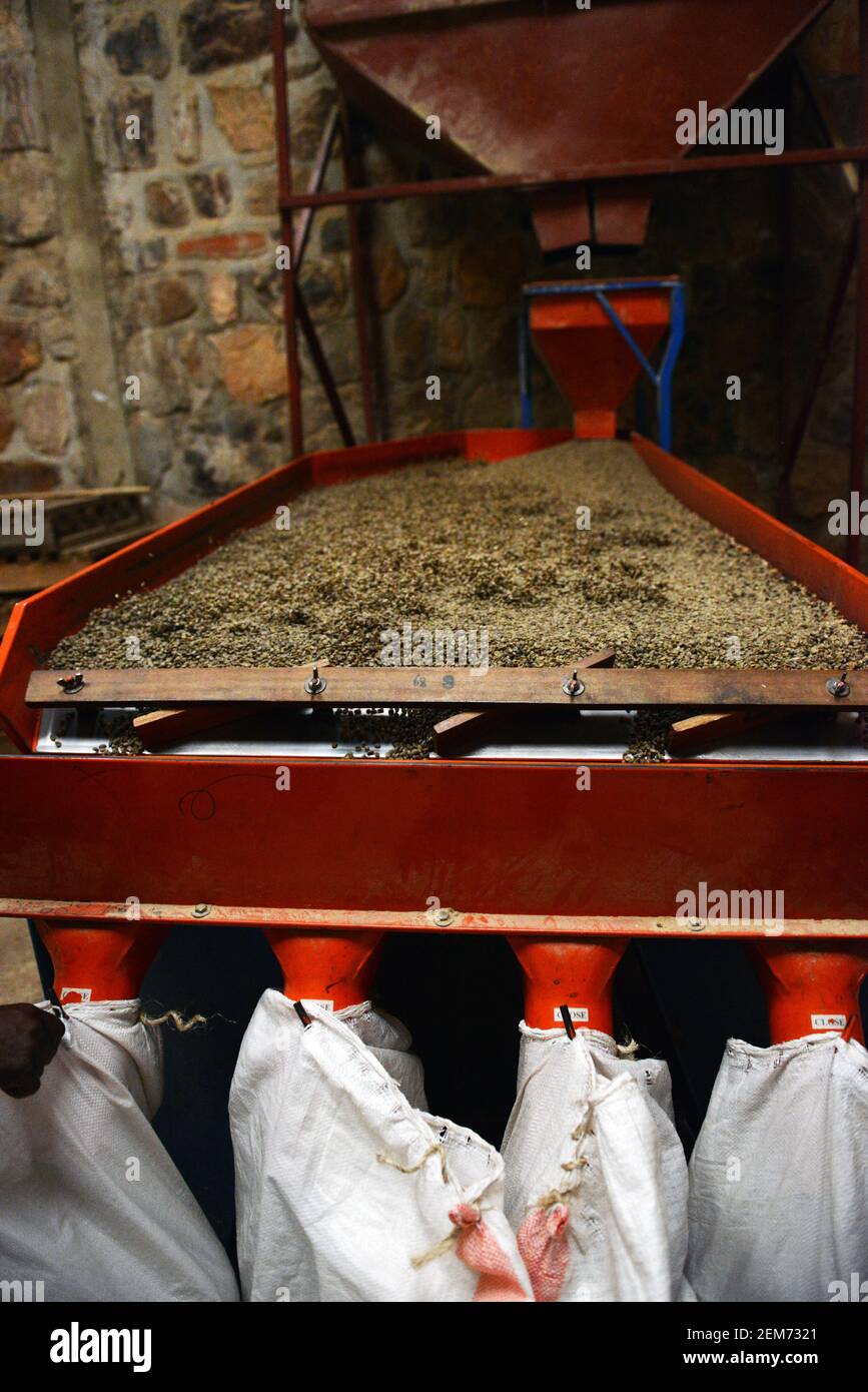 Coffee processing machine hires stock photography and images Alamy