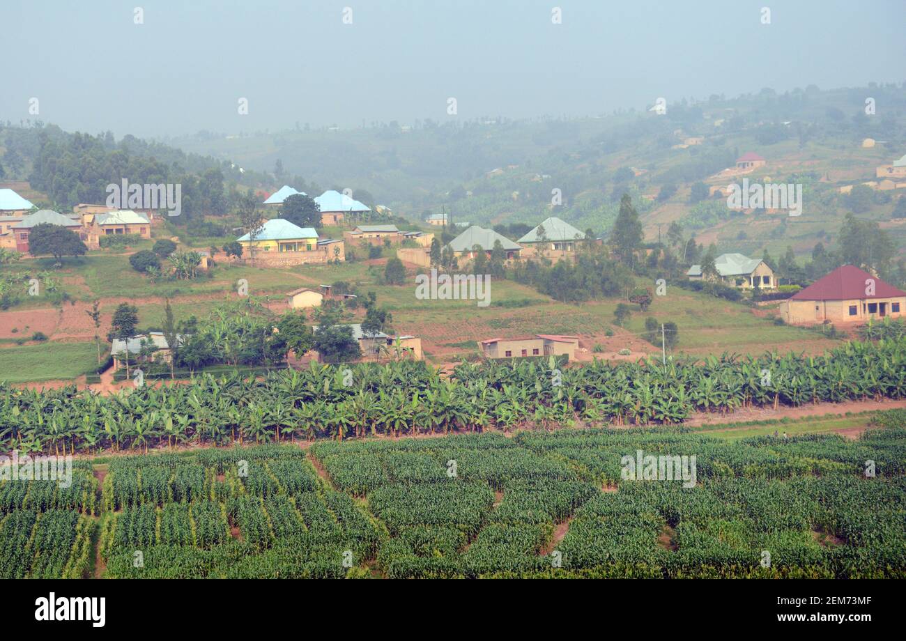 Farms In Rwanda Agricultural landscapes in Southern Rwanda Stock Photo - Alamy