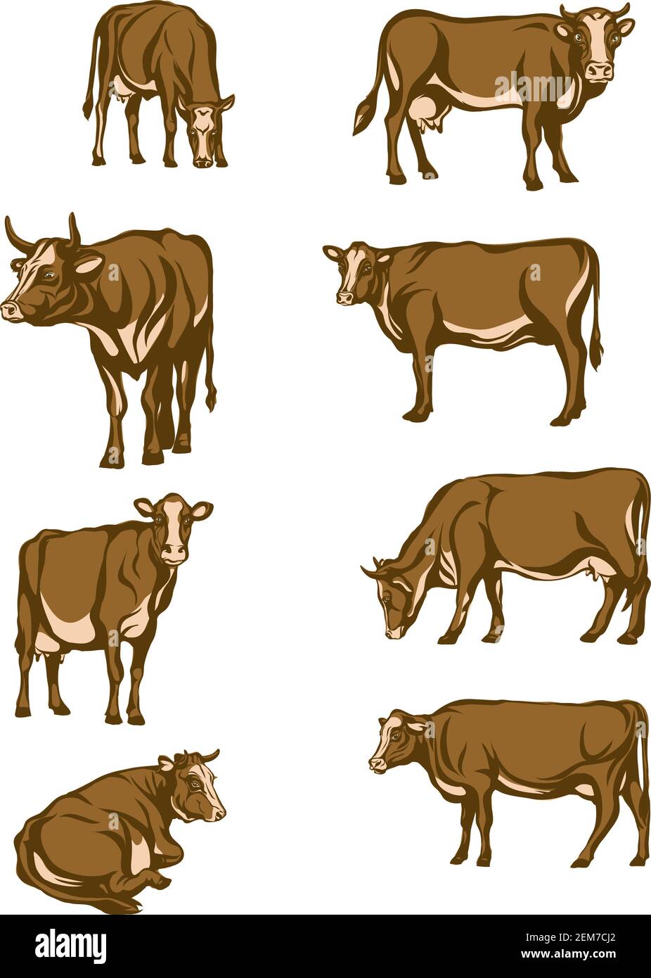 Cow, vector, color, portrait, silhouette, animals, design, cattle, bull, collection, animal, white, livestock, icon, background, logo, set, symbol Stock Vector
