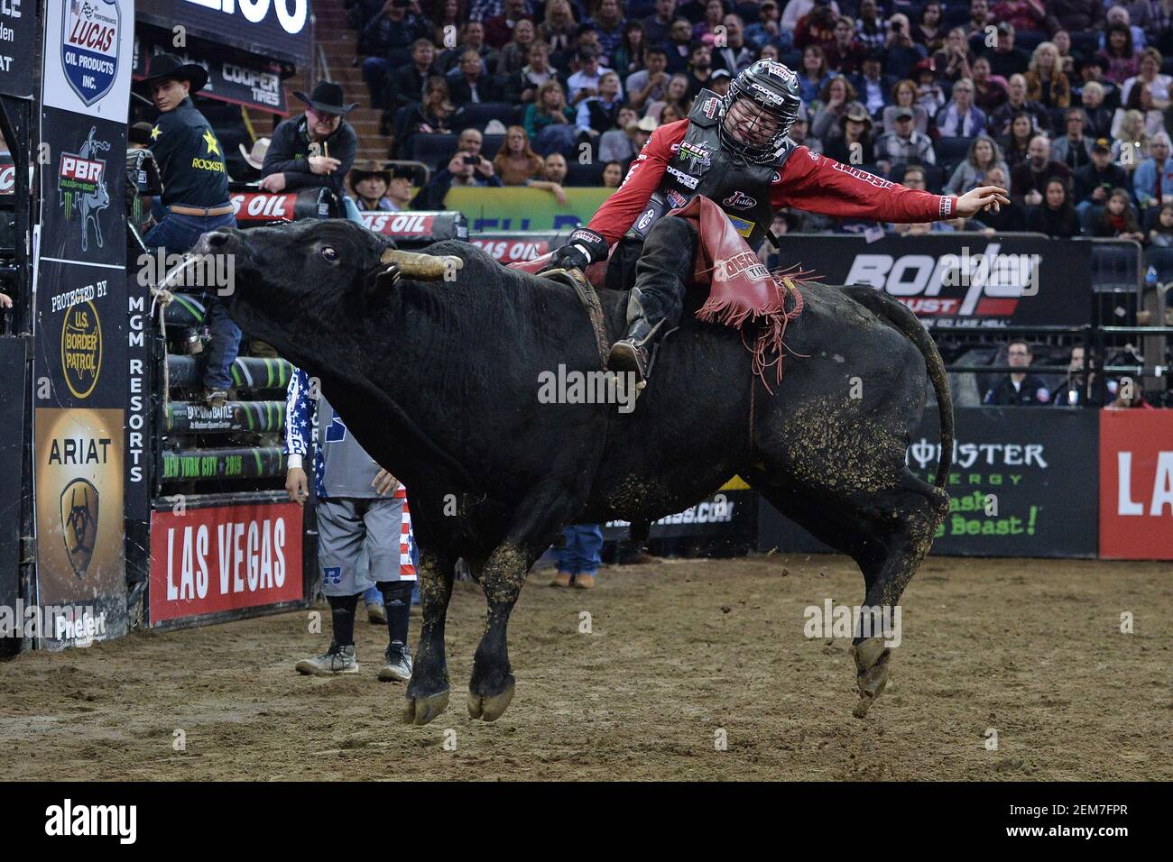 Professional bull rider Brennon Eldred rides a bull named Showdown on ...