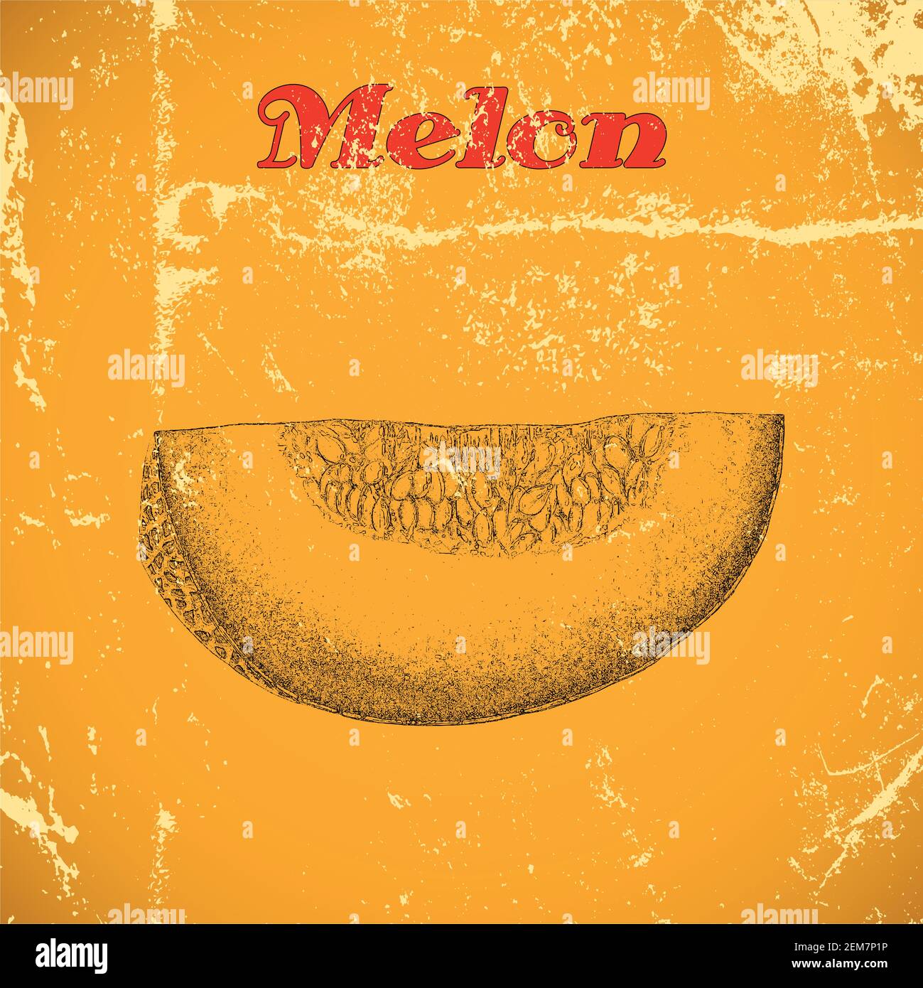 Hand drawn vintage melon isolated on yellow distressed grunge background. Stock Vector