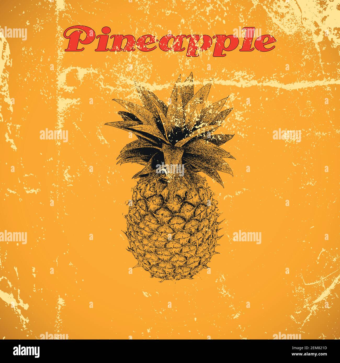 Vintage pineapple illustration Stock Vector Images - Alamy