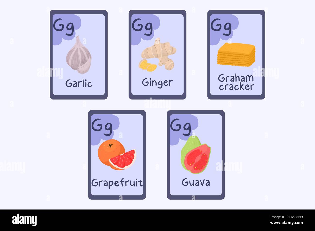 Colorful Phonics flashcard Letter G - garlic, ginger, graham cracker, grapefruit, guava. Food themed ABC cards for teaching reading with foods, vegetables, fruits and nuts. Series of ABC. Stock Vector