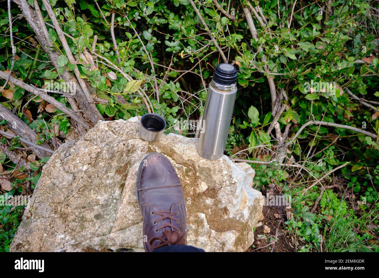 Caffe mug and heat sealing thermos cover made of stainless steel on thee  rock by taking photo during trekking in wild nature in forest Stock Photo -  Alamy