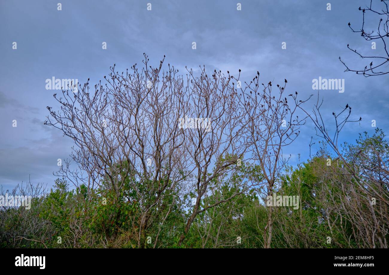 Same scene summer and winter hi-res stock photography and images - Alamy