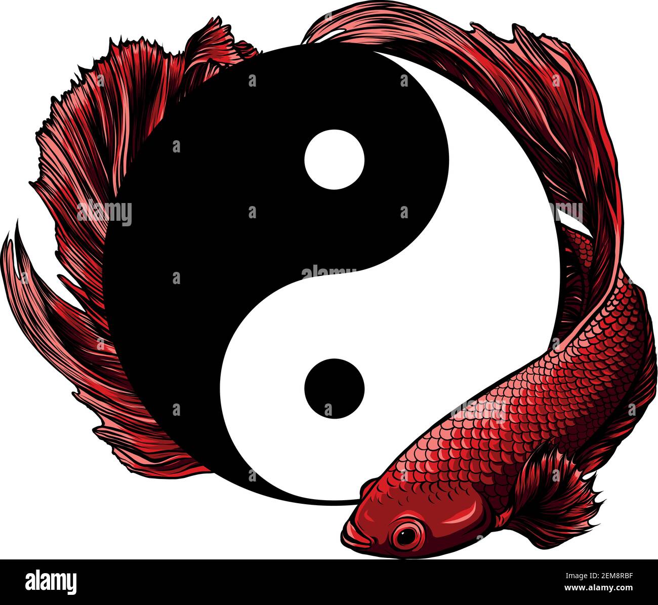 Yin Yang betta splendens fish vector illustration art Stock Vector