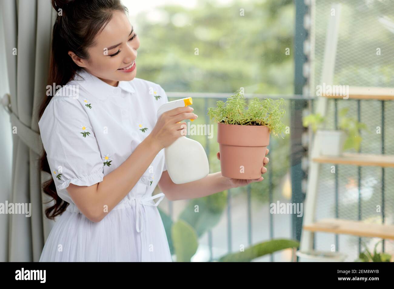 A woman is watering and spraying home plants. Concept of home garden. Spring time.Taking care of home plants. Stock Photo