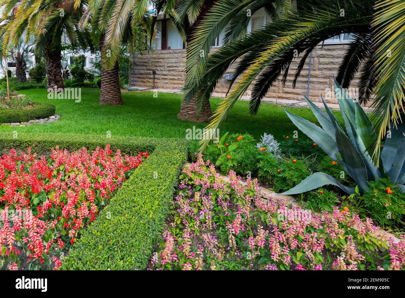 Beautiful green tropical garden with landscaping of palm trees and ...