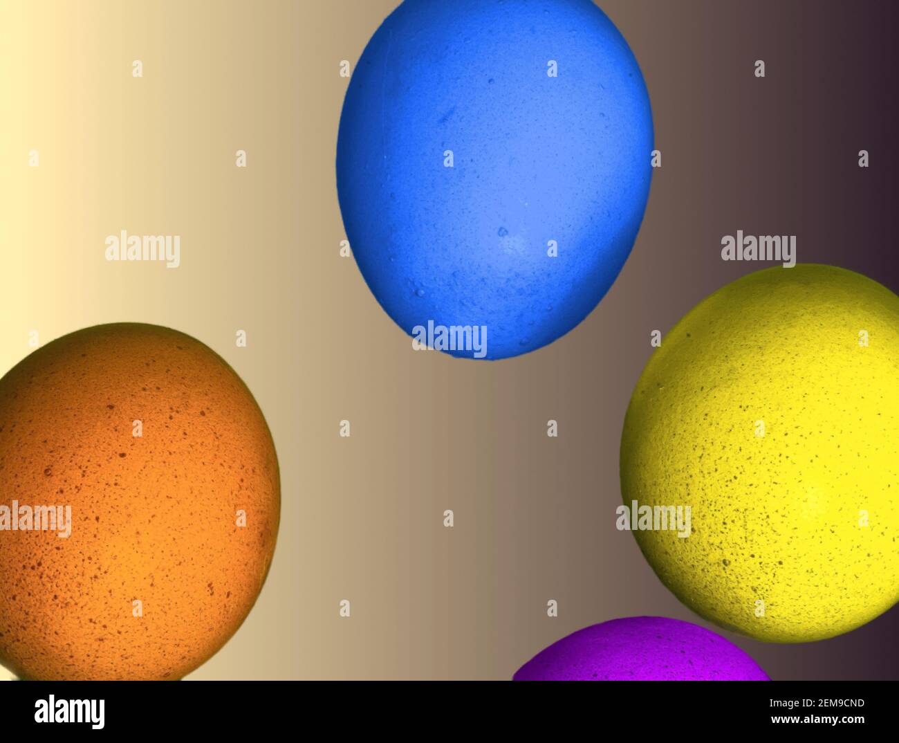 Abstract image of Easter, four incomplete eggs on a gradient background with soft shadows, concept Stock Photo