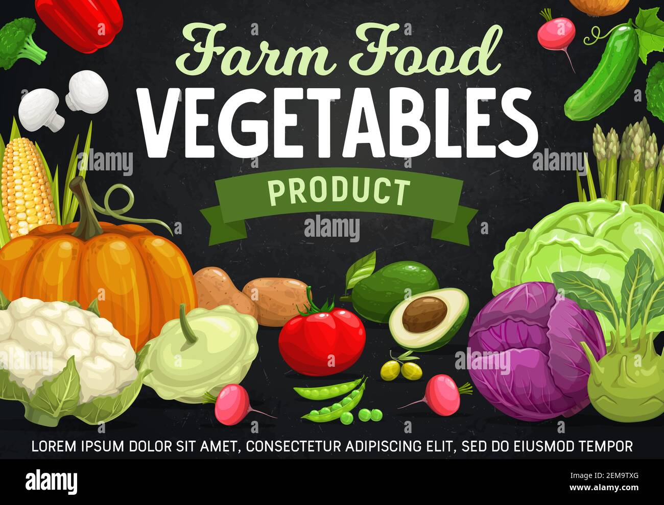 Farm vegetables, beans and mushrooms cartoon vector of veggie food. Tomato, pepper and cabbages, radish, cauliflower, broccoli and corn, green pea, as Stock Vector