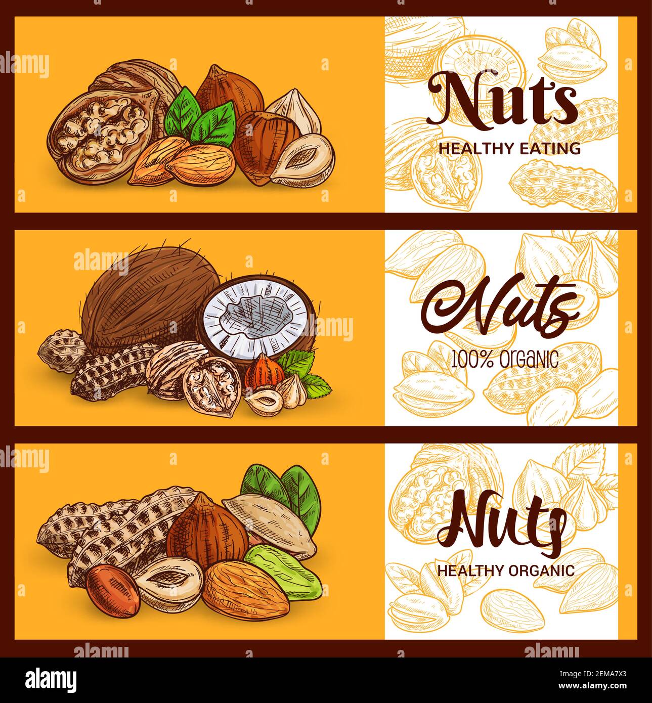Nuts and cereals sketch banners, cashew and almond, peanuts and