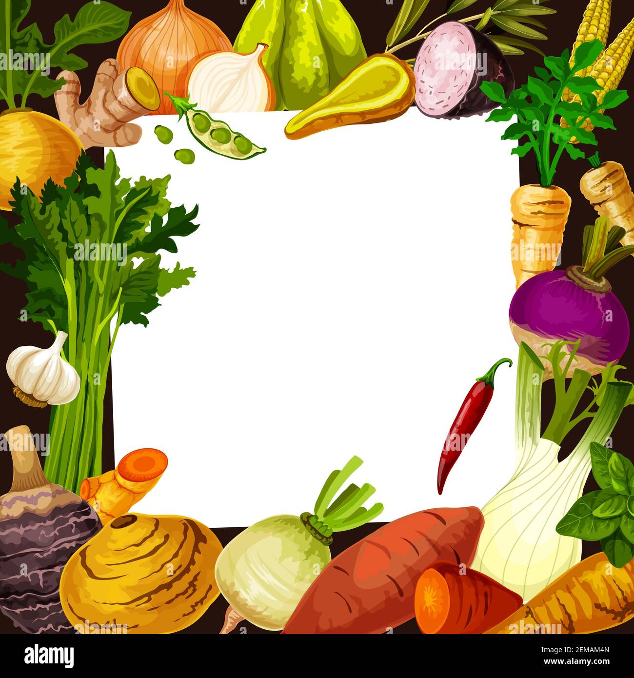 Vegetable and greenery salad recipe card. Vector white paper with vegetables and herbs. Onion and garlic, broad beans, chayote and taro, rutabaga and Stock Vector