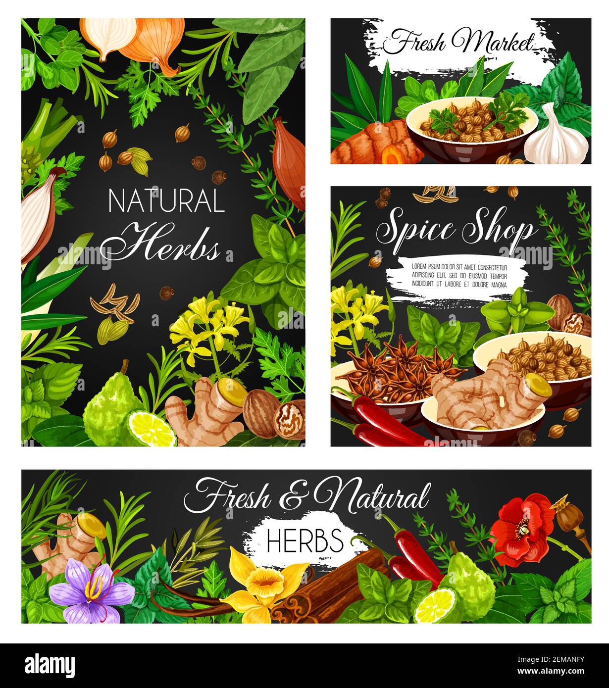 Spices, seasonings and herbs vector banner. Garlic and peppermint, ginger and turmeric, anise