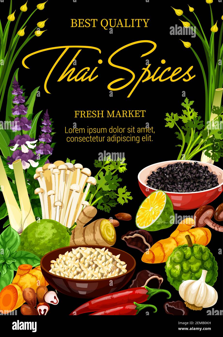 Thai spices and herbs, vector asian food condiments and seasonings ...