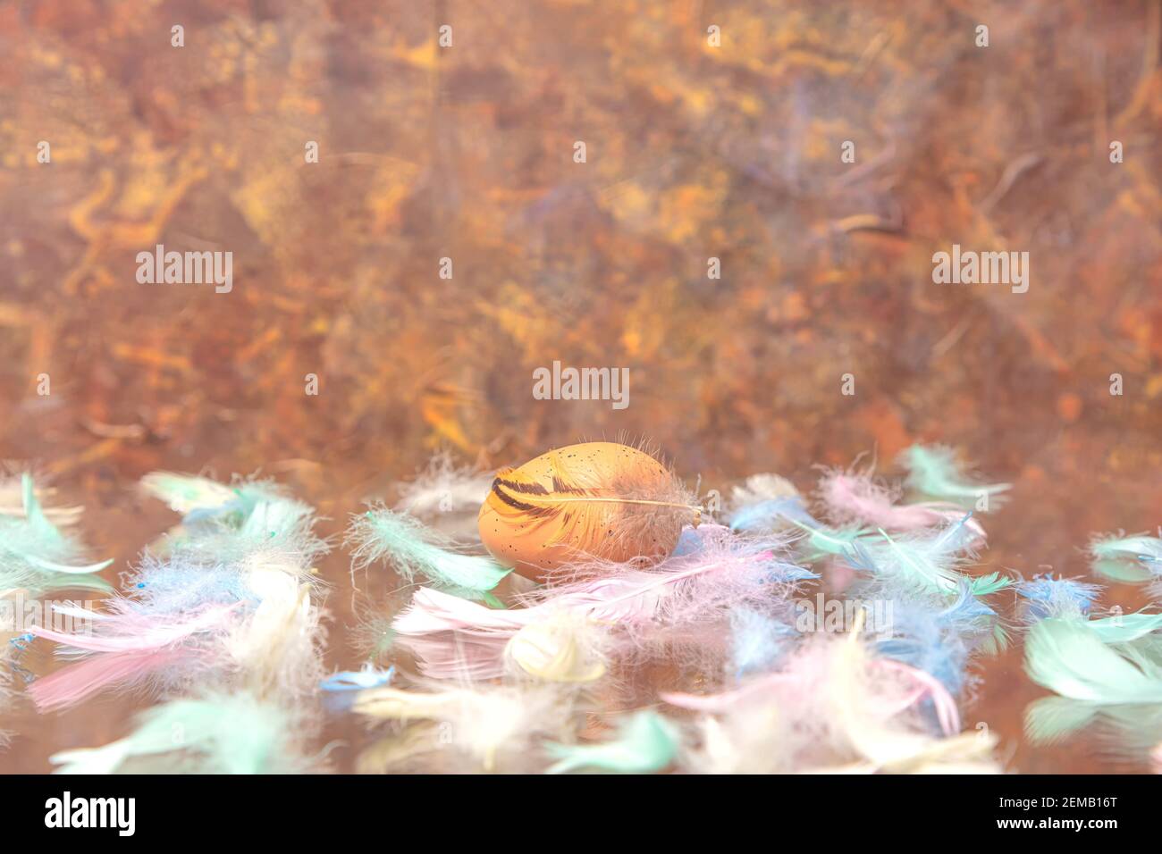 multicolored chicken feathers and an egg on a brown background. Concept, Easter, congratulation, levitation, There is a place for text. High quality photo Stock Photo