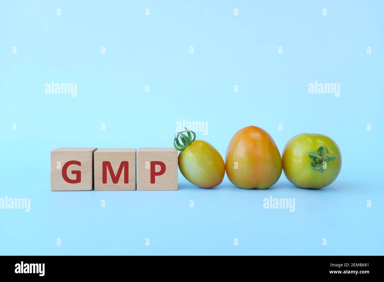 GMP word text on wooden blocks in blue background with copy space and tomato fruit. Good manufacturing practice in food industry. Stock Photo