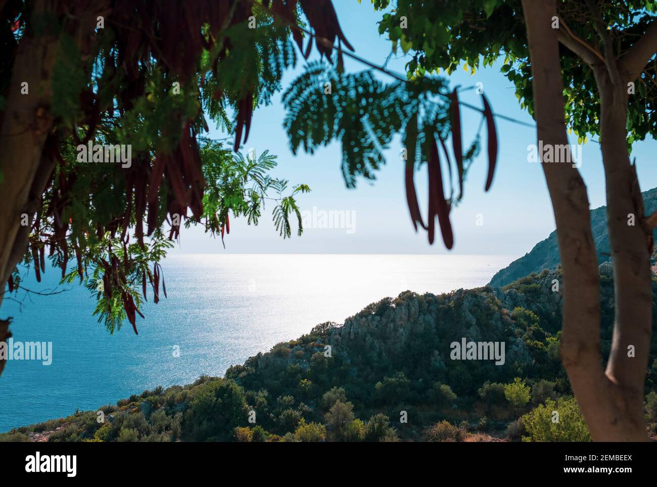 View of Mediterranean coast through the trees, southern Turkey Stock Photo