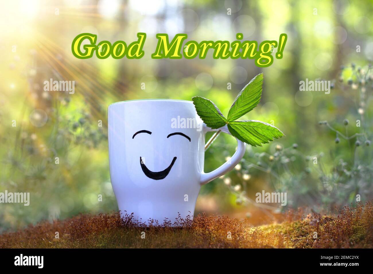 Good morning nature hi-res stock photography and images - Alamy