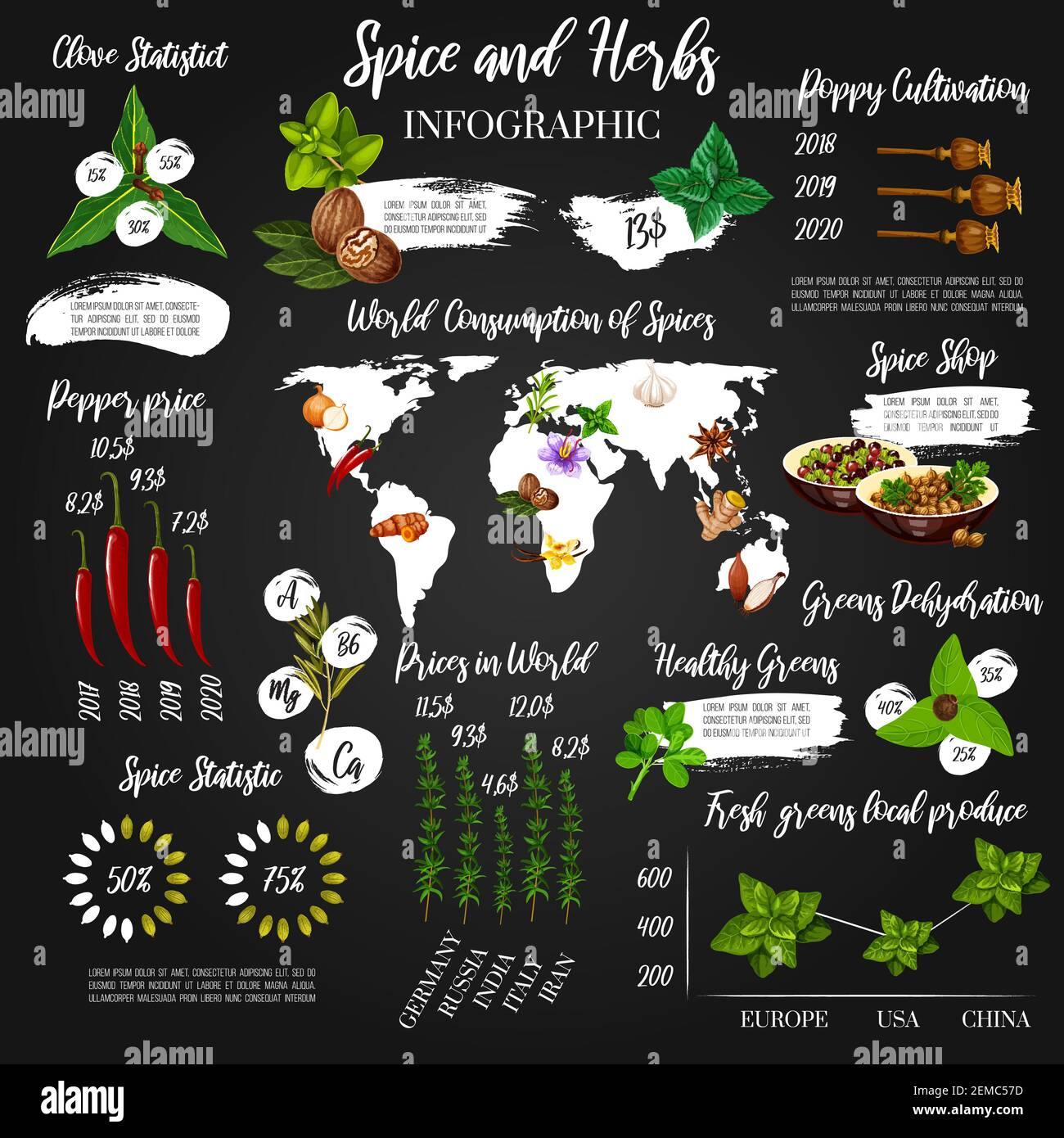 Cooking spices and seasoning herbs vector infographics and statistics