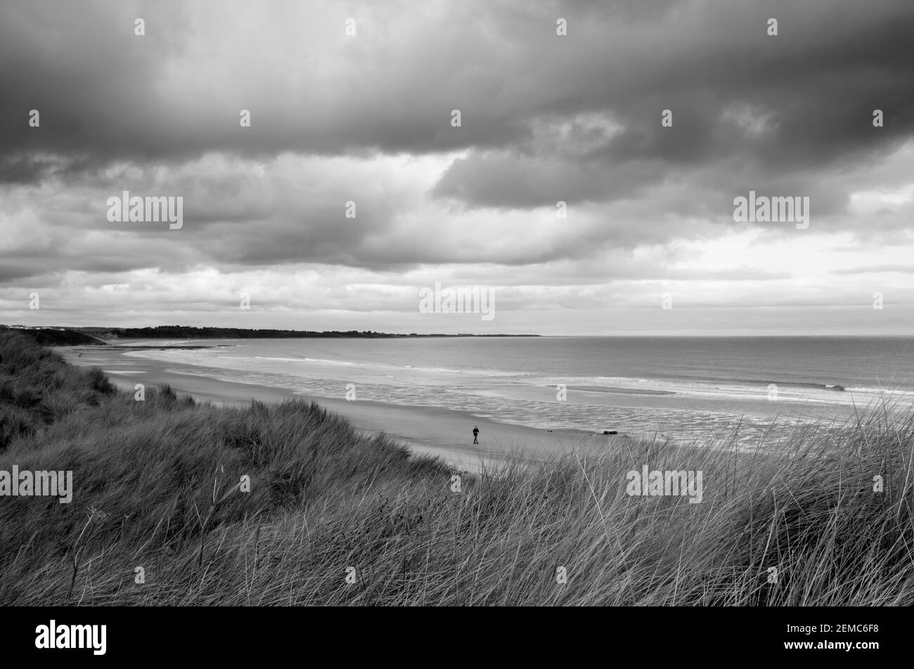 Alnmouth Bay taken from the dunes at Warkworth, Northumberland, England, UK Stock Photo