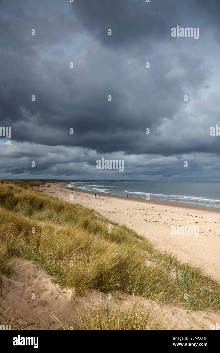 Druridge Bay, Northumberland, England, UK Stock Photo Alamy