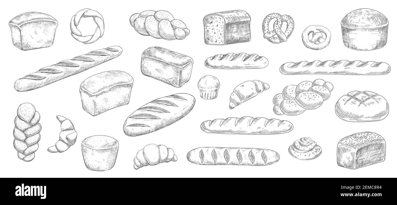 Bread and bakery food sketches. Engraved vector pastry, baked loaf, rye ...