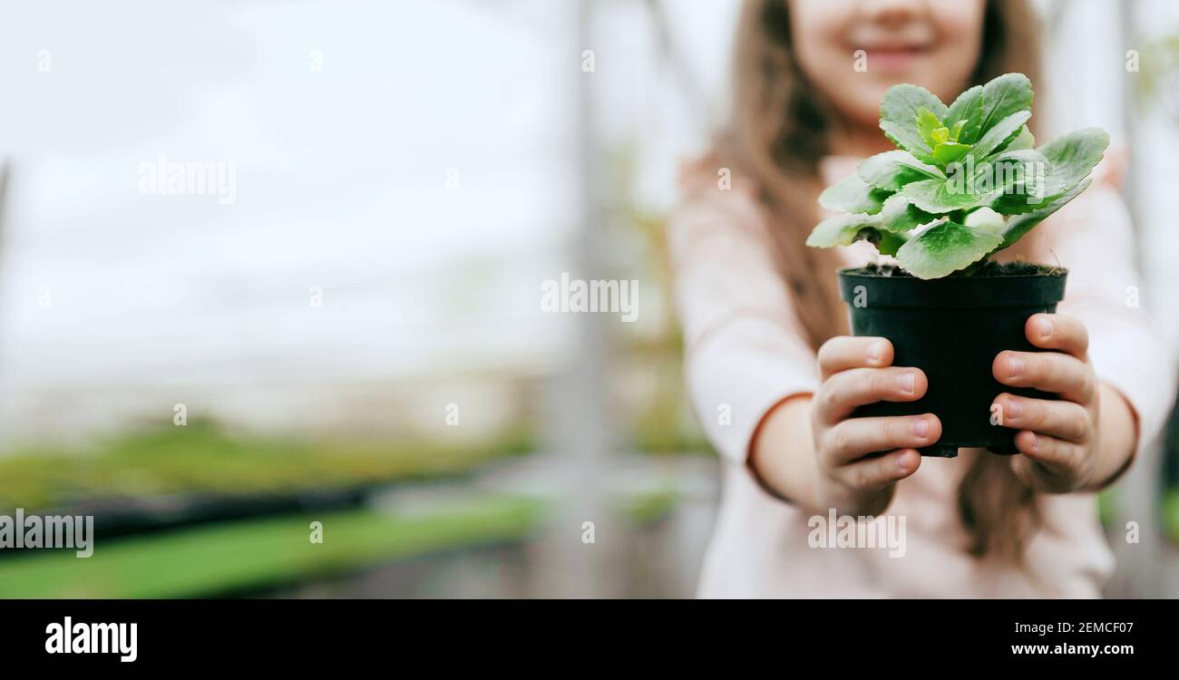 girl with a plant in hands Stock Photo
