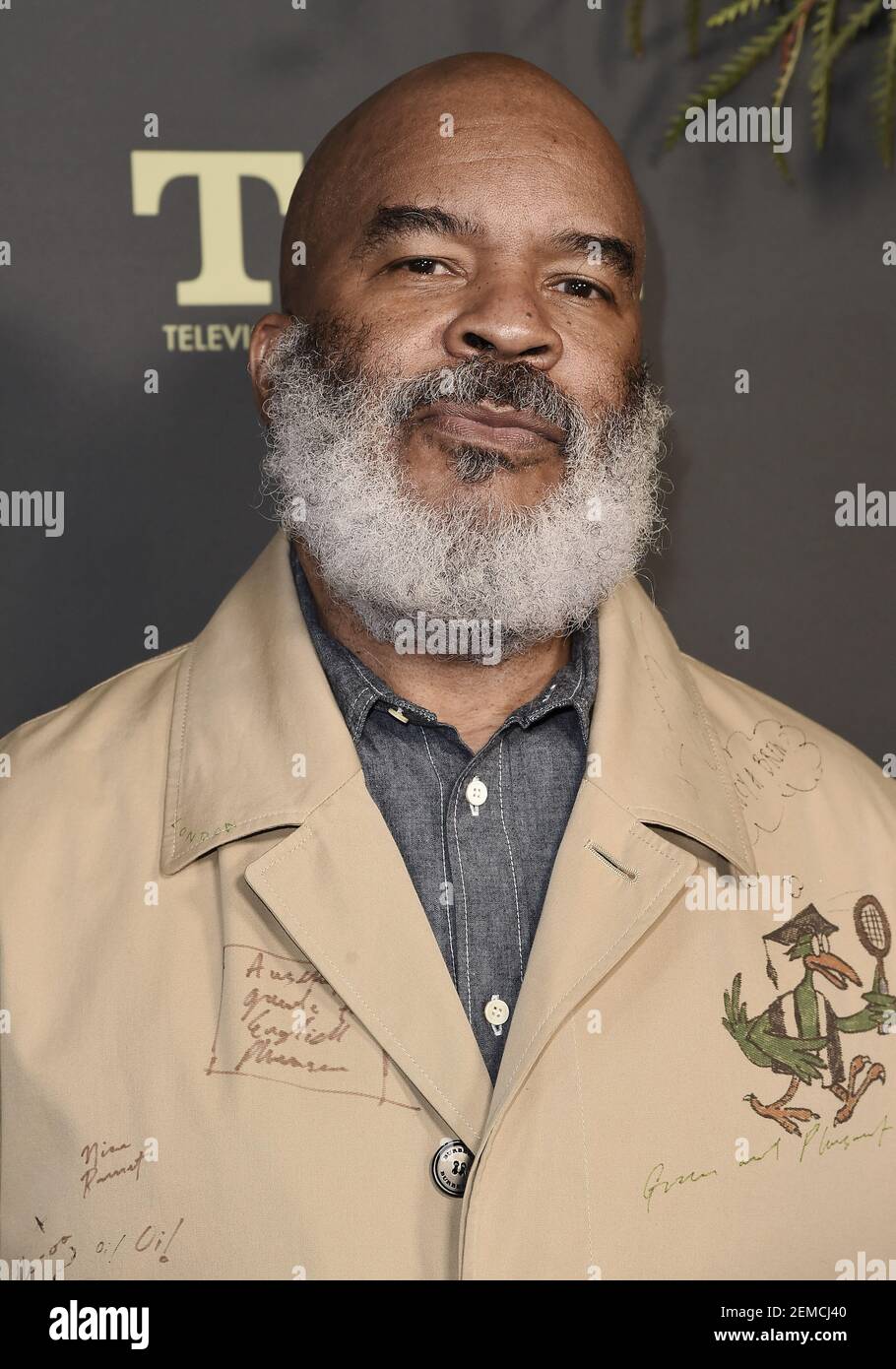 LOS ANGELES, CA - FEBRUARY 6: David Alan Grier attends the FOX Winter