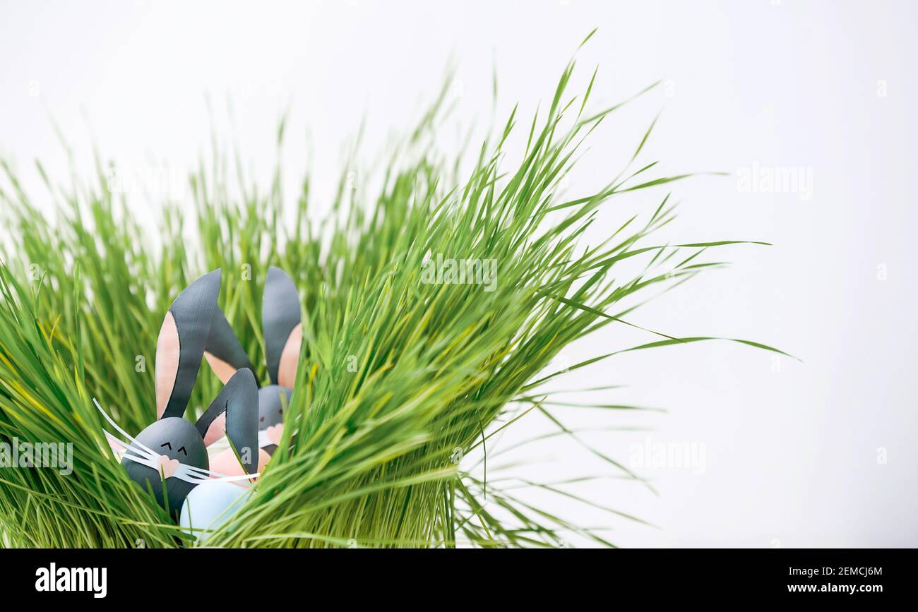 Cute creative photo with easter eggs, some eggs as the Easter Bunny Stock Photo