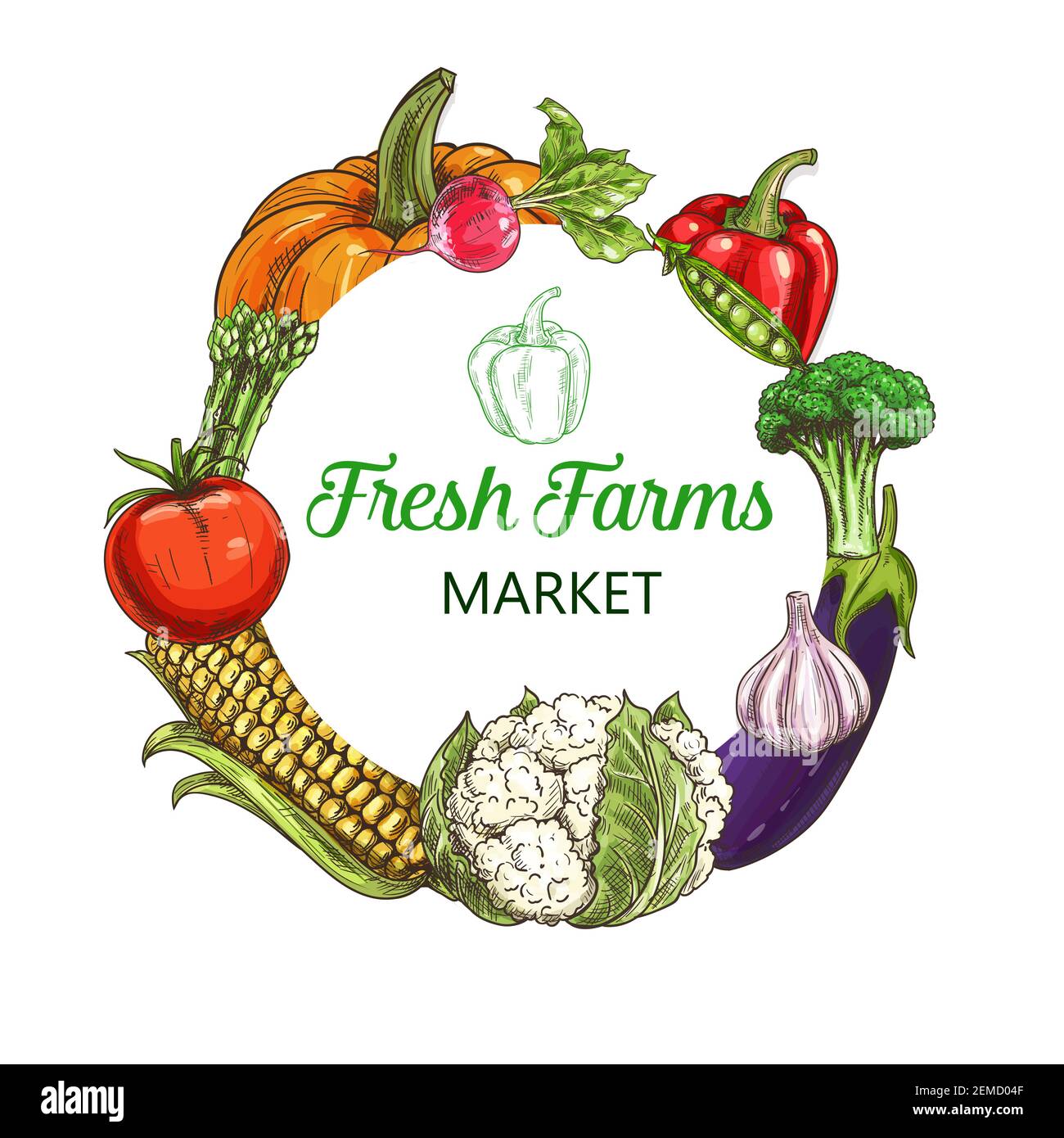 Farm vegetables sketch frame, food market harvest and greenery products ...