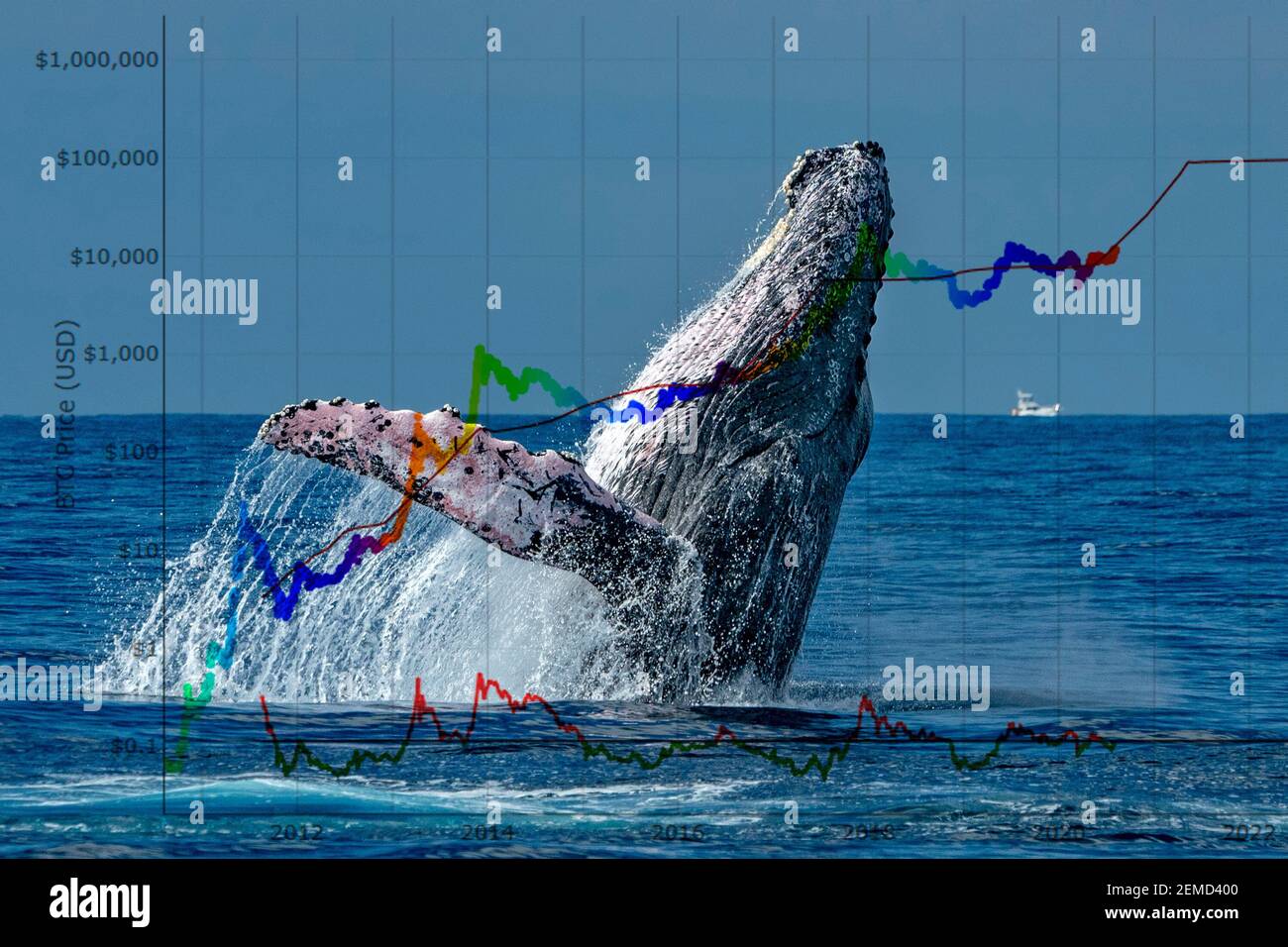 Breaching whale with stock market money cripto value bitcoin diagram flow chart Stock Photo