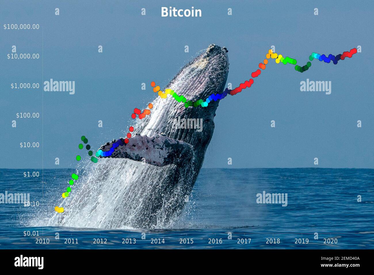 Breaching whale with stock market money cripto value bitcoin diagram flow chart Stock Photo