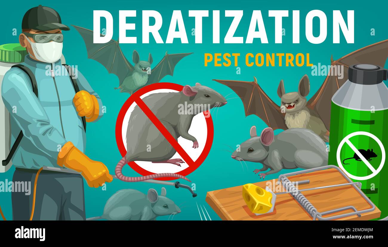 Deratization pest control, extermination and disinfestation service, vector poster. Rat, mouse and bats rodents disinfection, sanitary extermination, Stock Vector