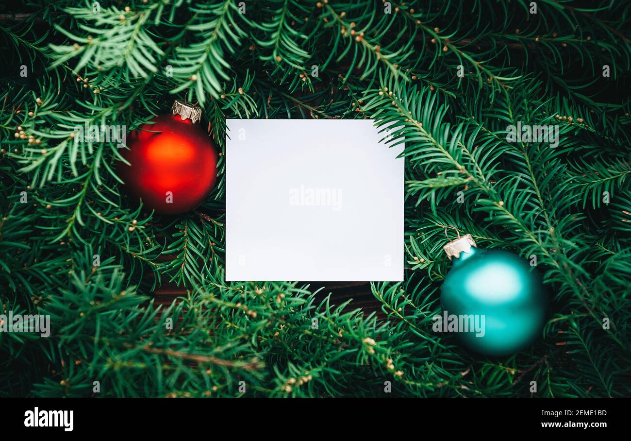 branches of a Christmas tree and an empty sheet of paper Stock Photo