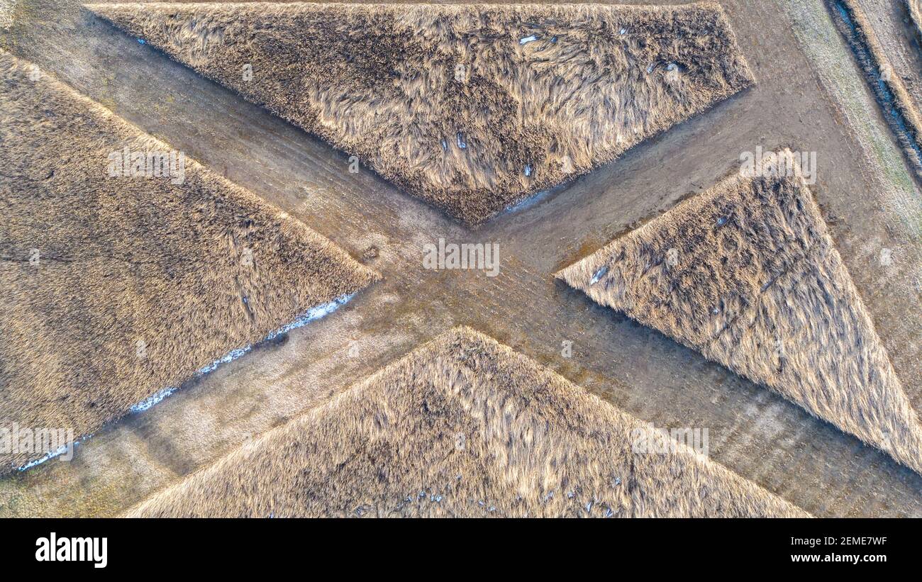 24 February 2021, Saxony-Anhalt, Wanzleben: Mowed patterns can be seen in the reeds at Faulen See, a wooded area with saline meadows, poplars and dry scrub. (Recorded with a drone). The 'Faule See' is located in the Magdeburger Börde east of Wanzleben. Photo: Stephan Schulz/dpa-Zentralbild/ZB Stock Photo